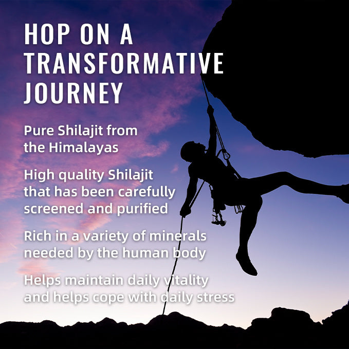 "BSYS Shilajit Gummies™ – Natural Energy & Stamina Support with Ashwagandha & Fulvic Acid – 60 Count"